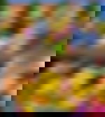 article-image