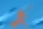 article-image