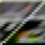 article-image
