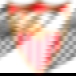 article-image