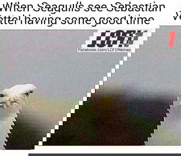 article-image