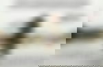 article-image