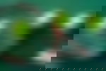 article-image