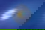 article-image
