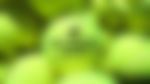 article-image