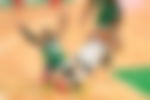 article-image