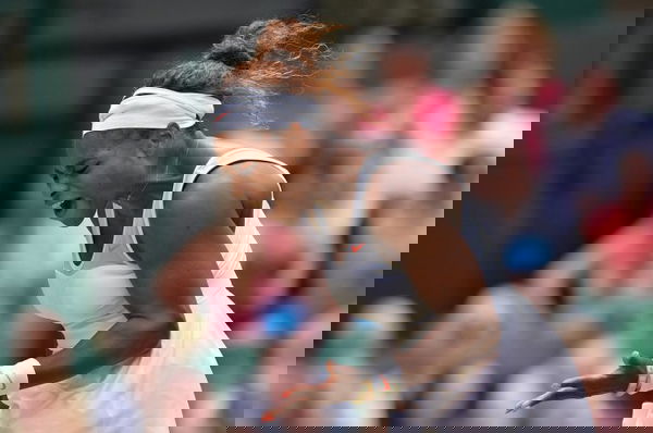 1000&#215;66511