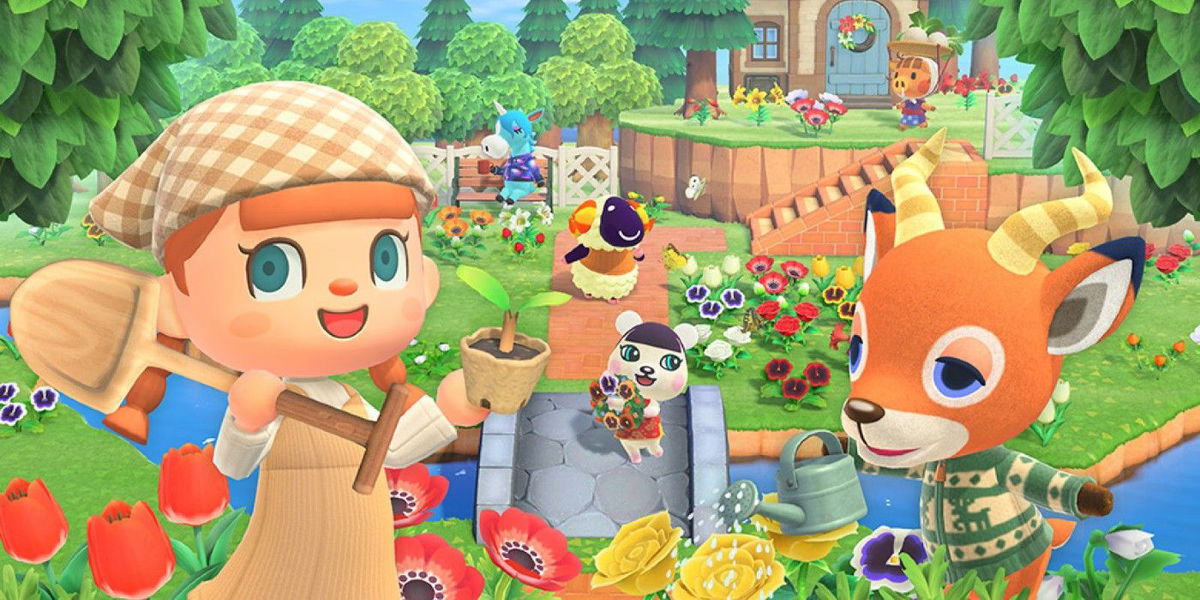 animal crossing new horizons a