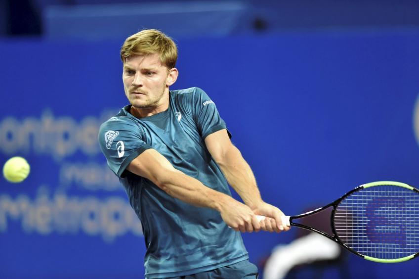 David Goffin