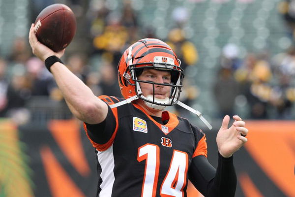 Andy Dalton - Wikipedia