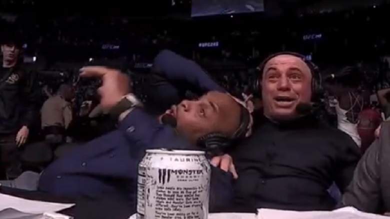 UFC All Commentators List EssentiallySports