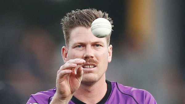 skysports-james-faulkner-hobart-hurricanes_4654544