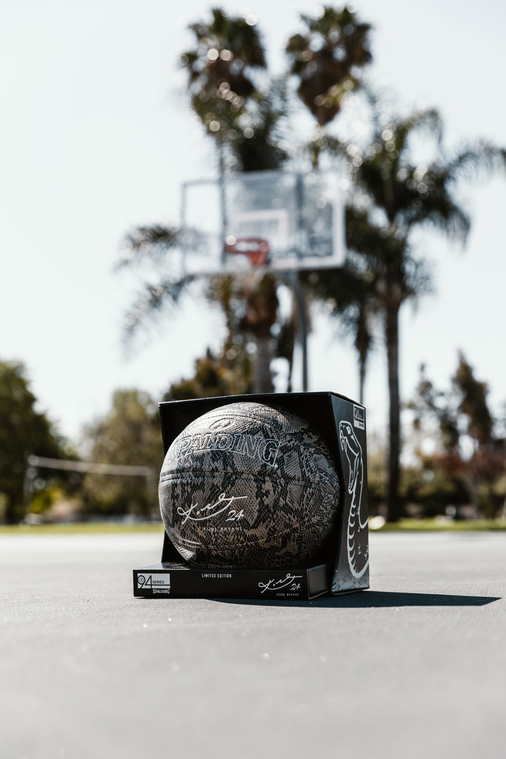 spalding black mamba