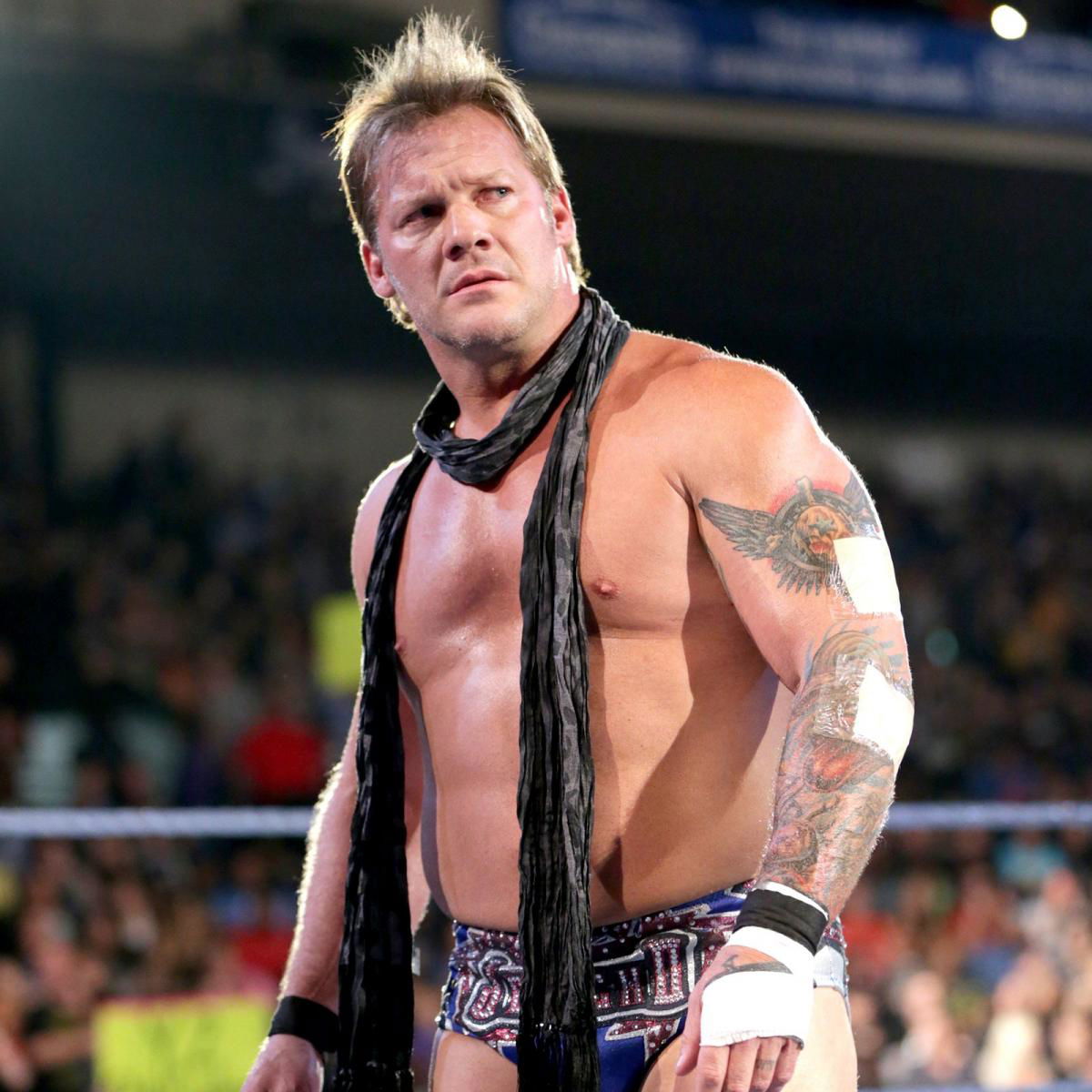 chris jericho net worth