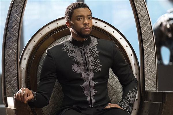 200828-black-panther-chadwick-boseman-2018-ac-1028p_1eb7edf6a10c46ec3720bcfa25bc8899.fit-760w