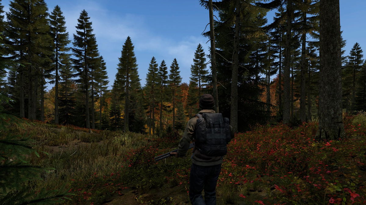feature-image