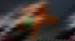 article-image