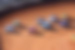 article-image