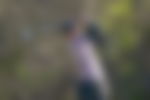 article-image