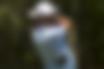 article-image