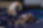 article-image