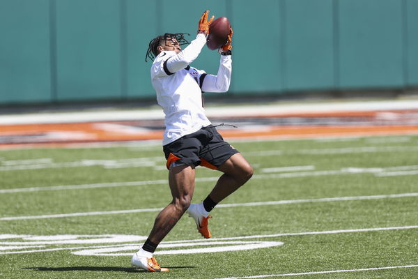 NFL: Cincinnati Bengals Rookie Minicamp