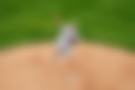 article-image
