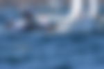 article-image
