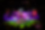 article-image