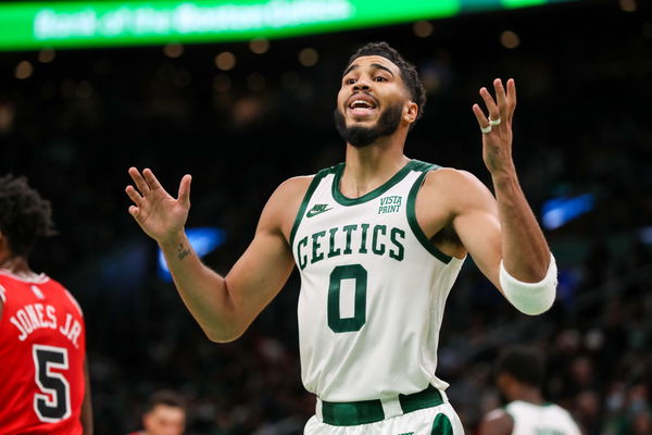 Celtics' Jayson Tatum names new dog 'Bean' after Kobe Bryant