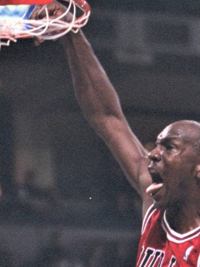 Jordan with tongue out Clearance