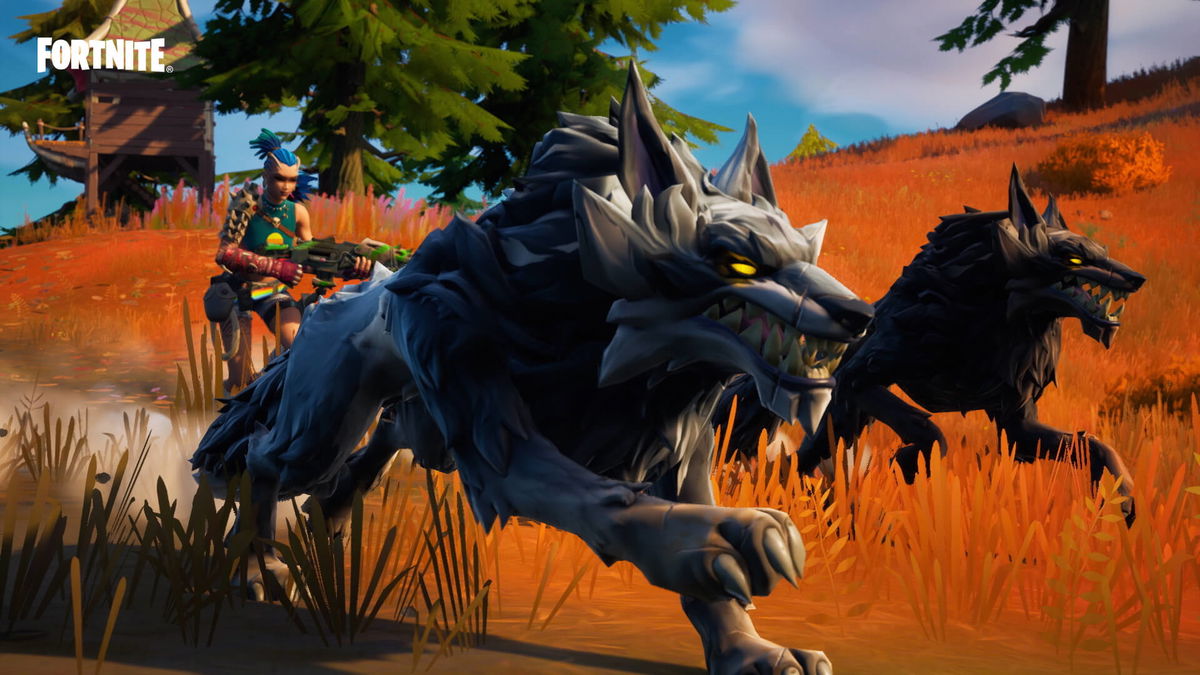 feature-image