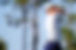 article-image