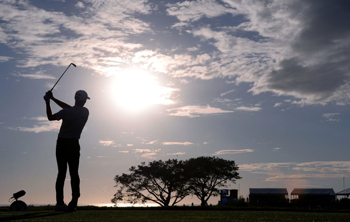 Aaron Hicks and Cheyenne Woods: Complete timeline of their relationship