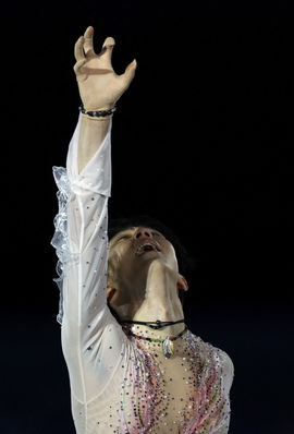 Figure Skating &#8211; Exhibition Gala