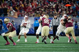 NCAA Football: ACC Football Championship-Louisville at Florida State