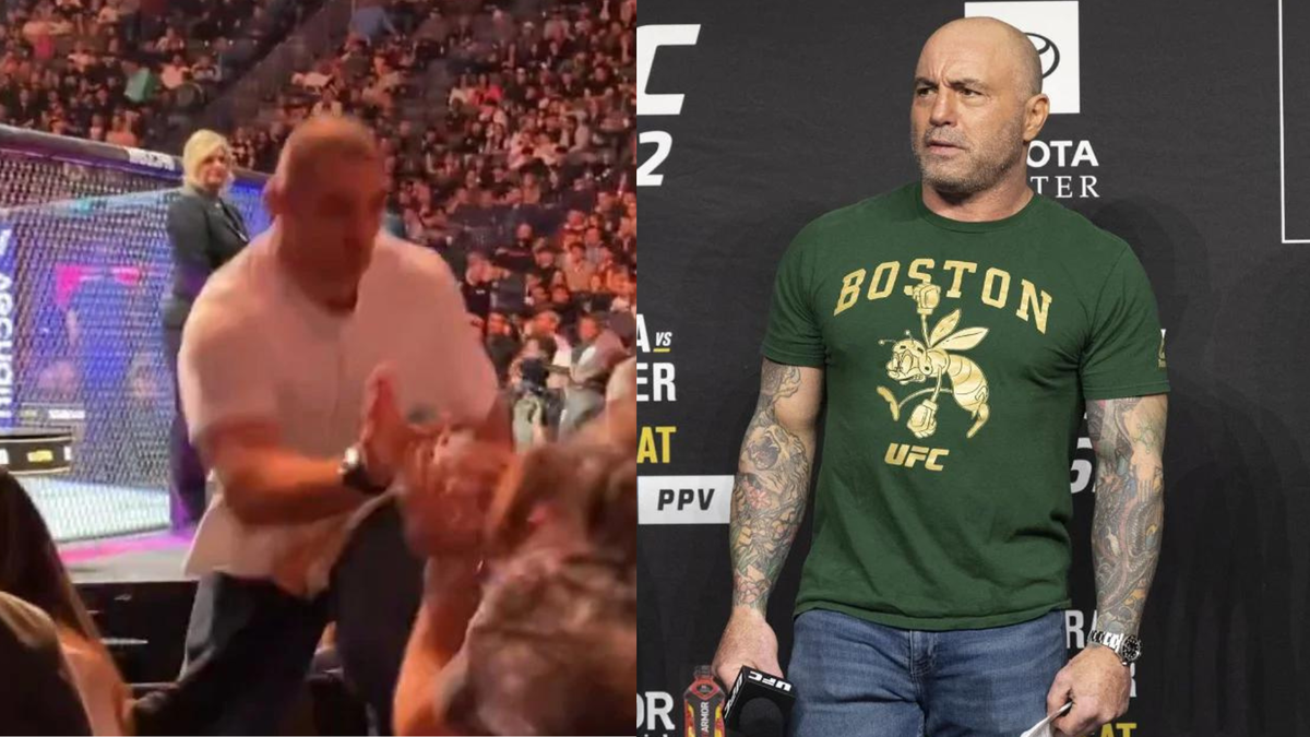 “Don’t Fight in the Crowd” – Joe Rogan and Co. Blame “Psychopath” Sean ...