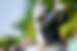 article-image