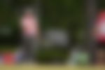 article-image