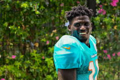 NFL: Miami Dolphins Training Camp