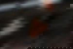 article-image