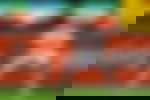 article-image