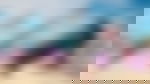 article-image