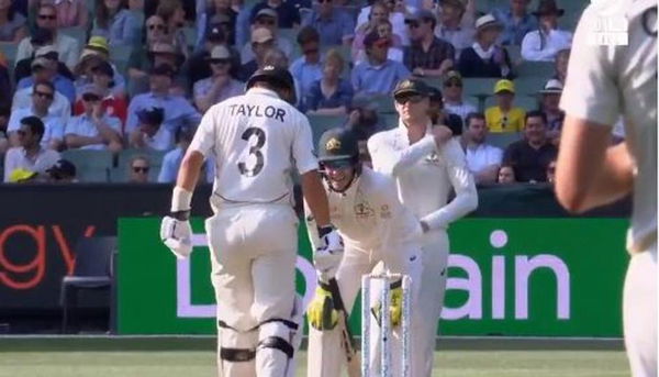 Tim Paine sledges Ross Taylor