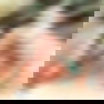 article-image