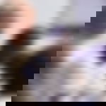 article-image