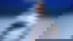 article-image