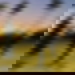 article-image
