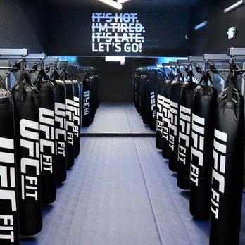 article-image