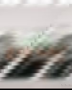article-image